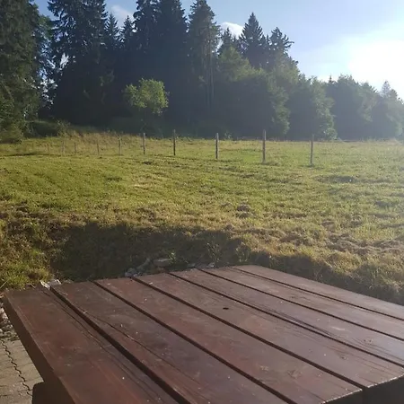 Im Wald * Rosshaupten
