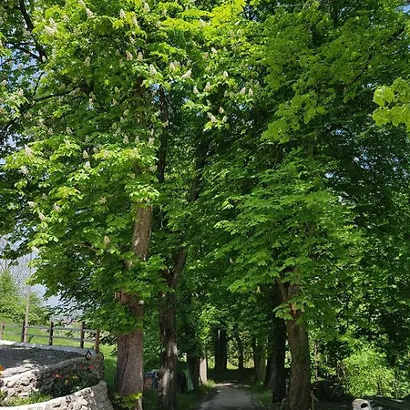 Apartment Im Wald
