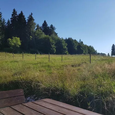 Im Wald * Rosshaupten