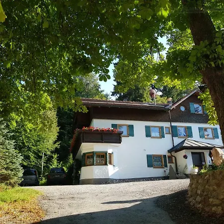 Im Wald * Rosshaupten