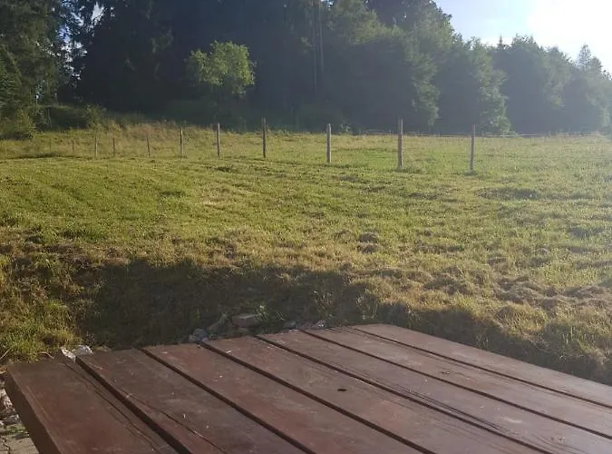 Im Wald * Roßhaupten