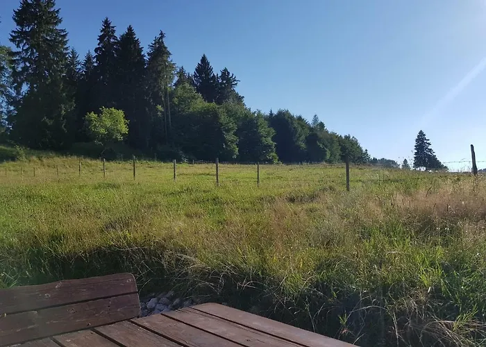 Im Wald * Roßhaupten