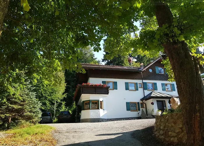 Im Wald * Roßhaupten